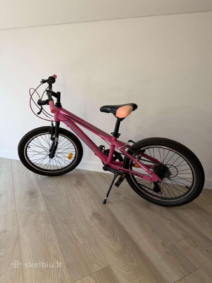 Vaikiškas dviratis Corelli Regina 20 ", rožinis
