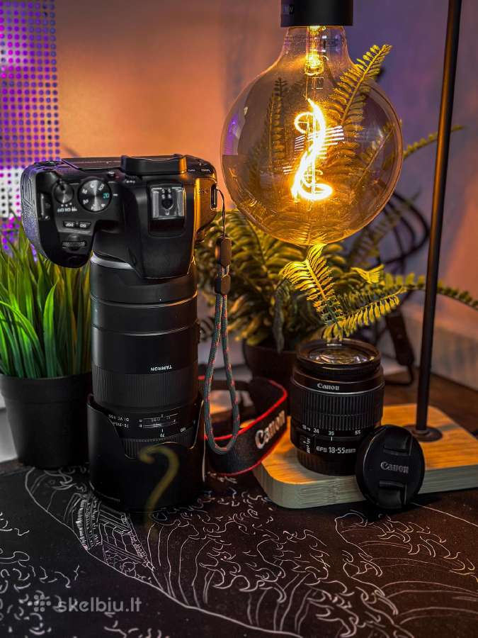 Canon EOS 250d + Tamron 70-210 F4 + Canon 18-55mm