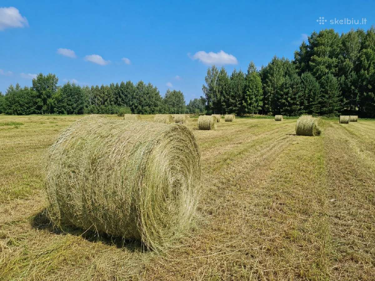 Parduodamas šių metų šienas