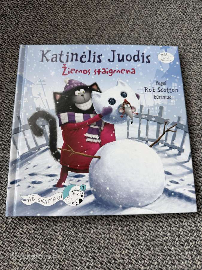 Katinėlis Juodis. Žiemos staigmena