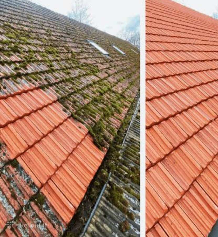 Samanų ir kerpių naikinimo priemonė Grenn-freee - nuotraukos Nr. 13