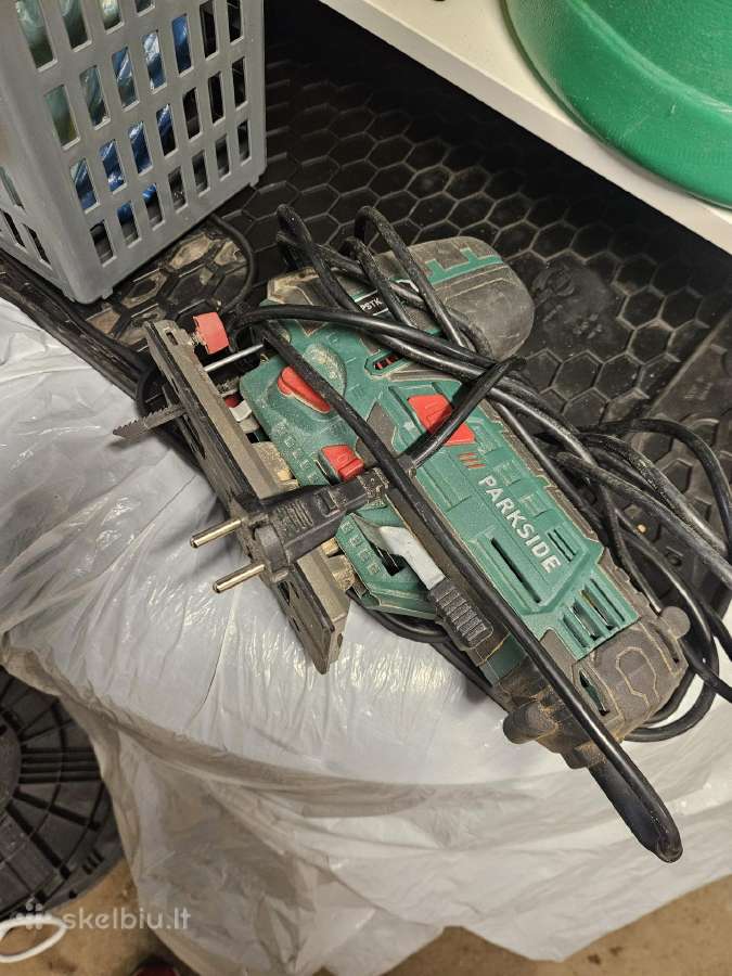 Siaurapjiuklis - nuotraukos Nr. 2