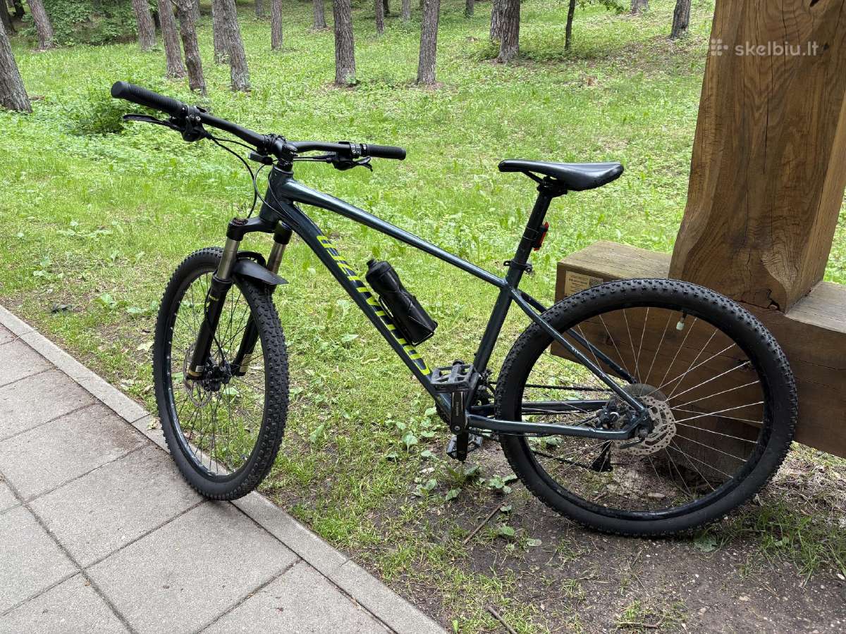 Specialized Pitch