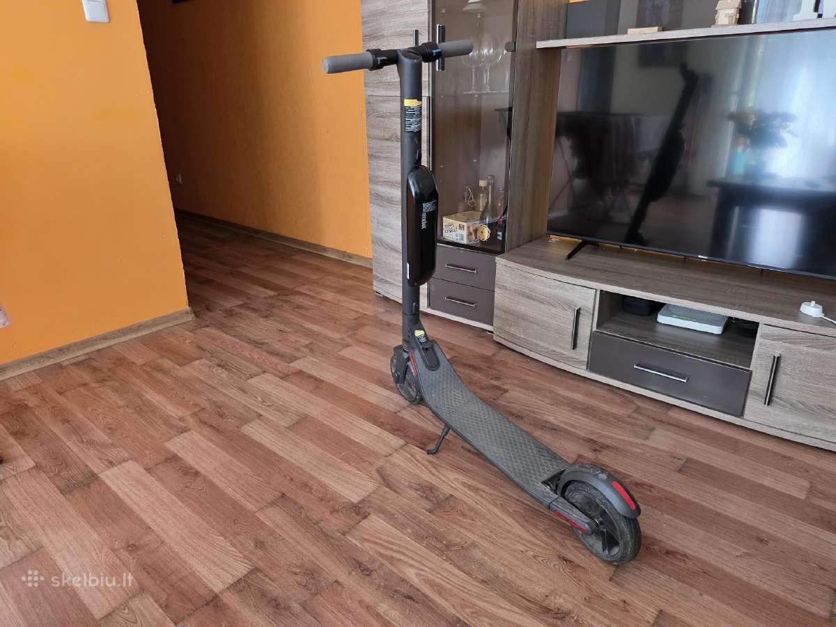 Elektrinis paspirtukas