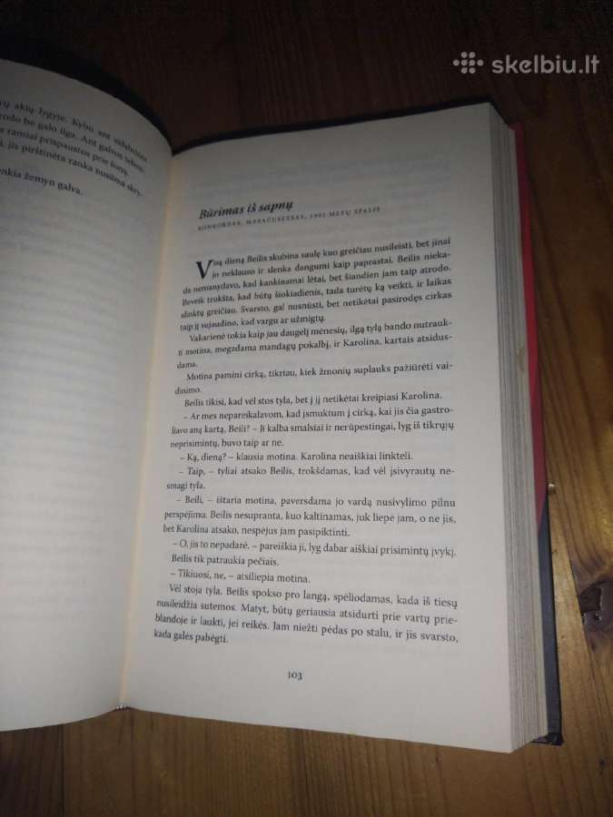 Knyga Naktinis cirkas - nuotraukos Nr. 2