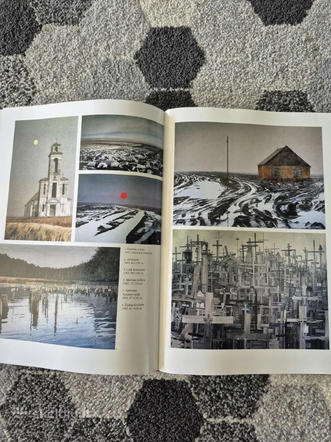 Laisvės paženklinti: Dailininkai atkurtai Lietuvos - nuotraukos Nr. 14