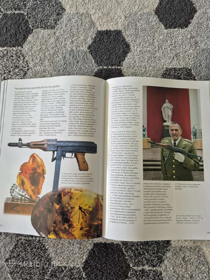 Laisvės paženklinti: Dailininkai atkurtai Lietuvos - nuotraukos Nr. 15