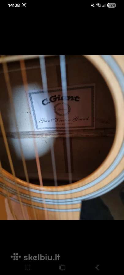 Gitara G.giant - nuotraukos Nr. 6