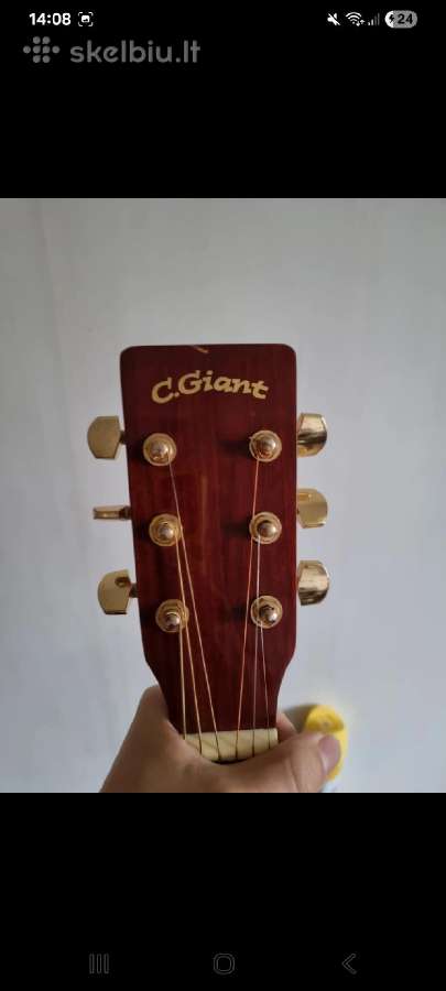 Gitara G.giant - nuotraukos Nr. 7