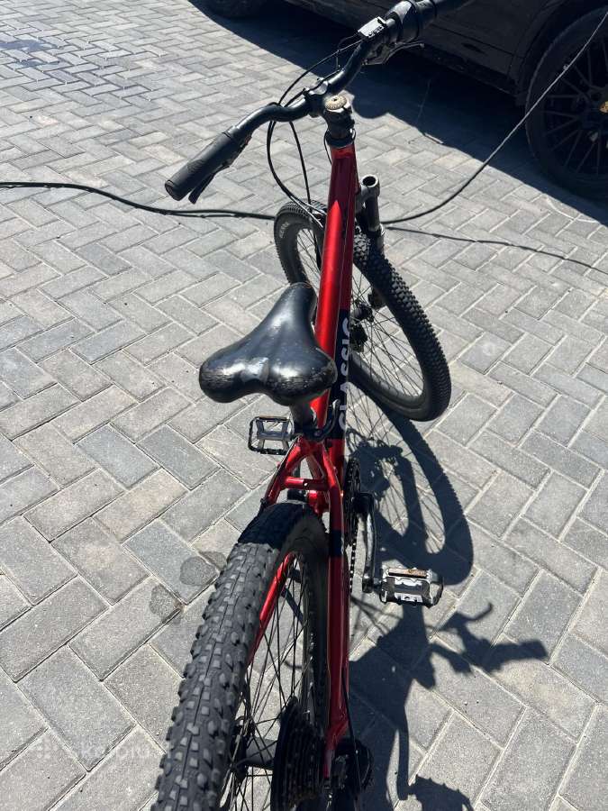 Classic Pro 24 - nuotraukos Nr. 4