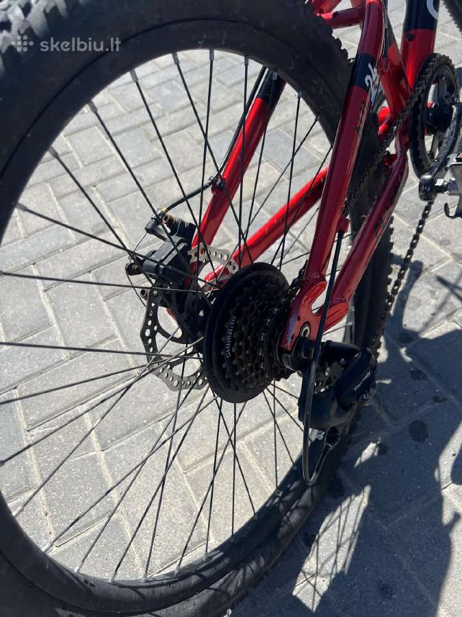 Classic Pro 24 - nuotraukos Nr. 7