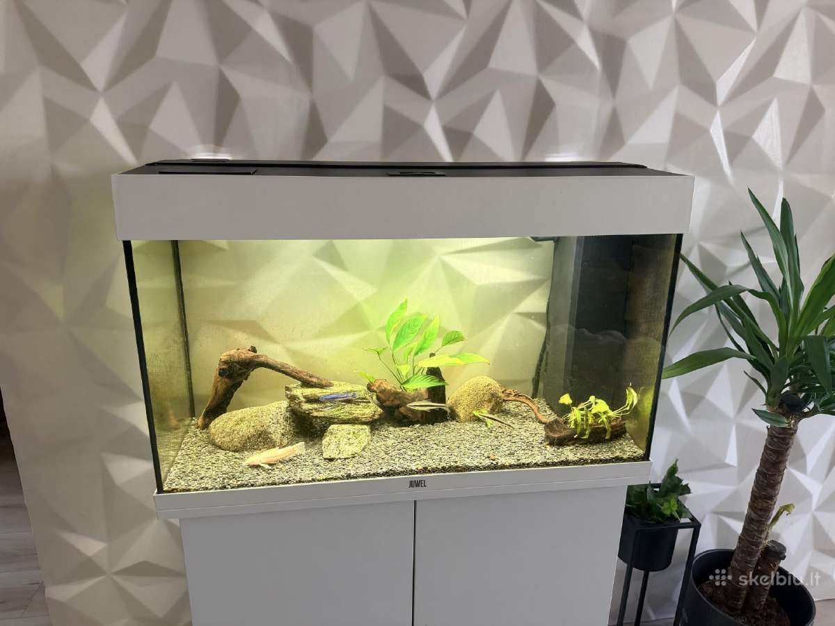 Juwel akvariumas 125 l
