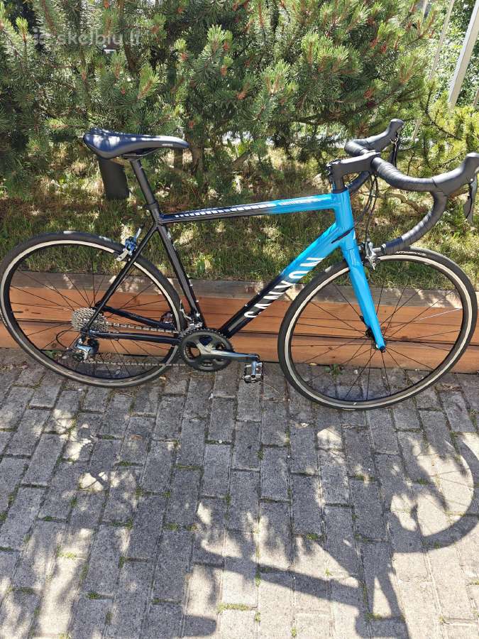 Canyon Endurace 6 AL Rb
