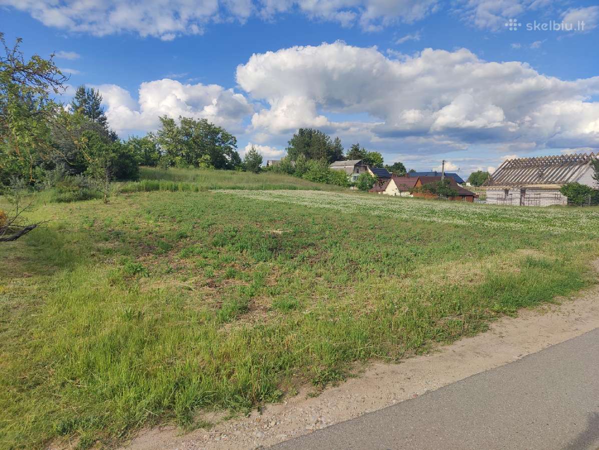 Parduodamas 12a sklypas Veisiejuose - nuotraukos Nr. 3