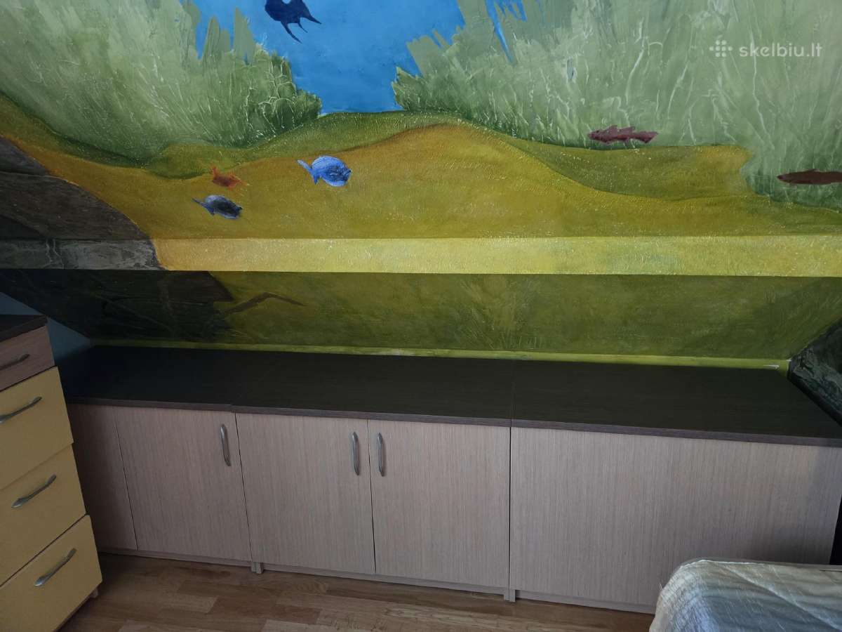 Paauglio kambario baldai