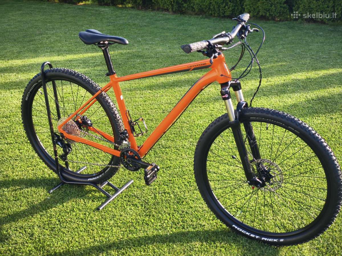 Cannondale (L)