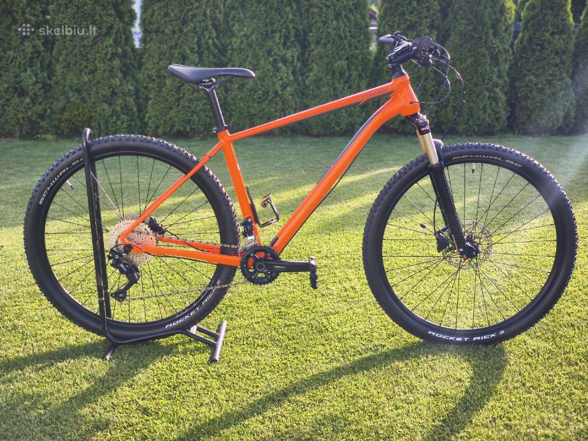 Cannondale (L) - nuotraukos Nr. 2