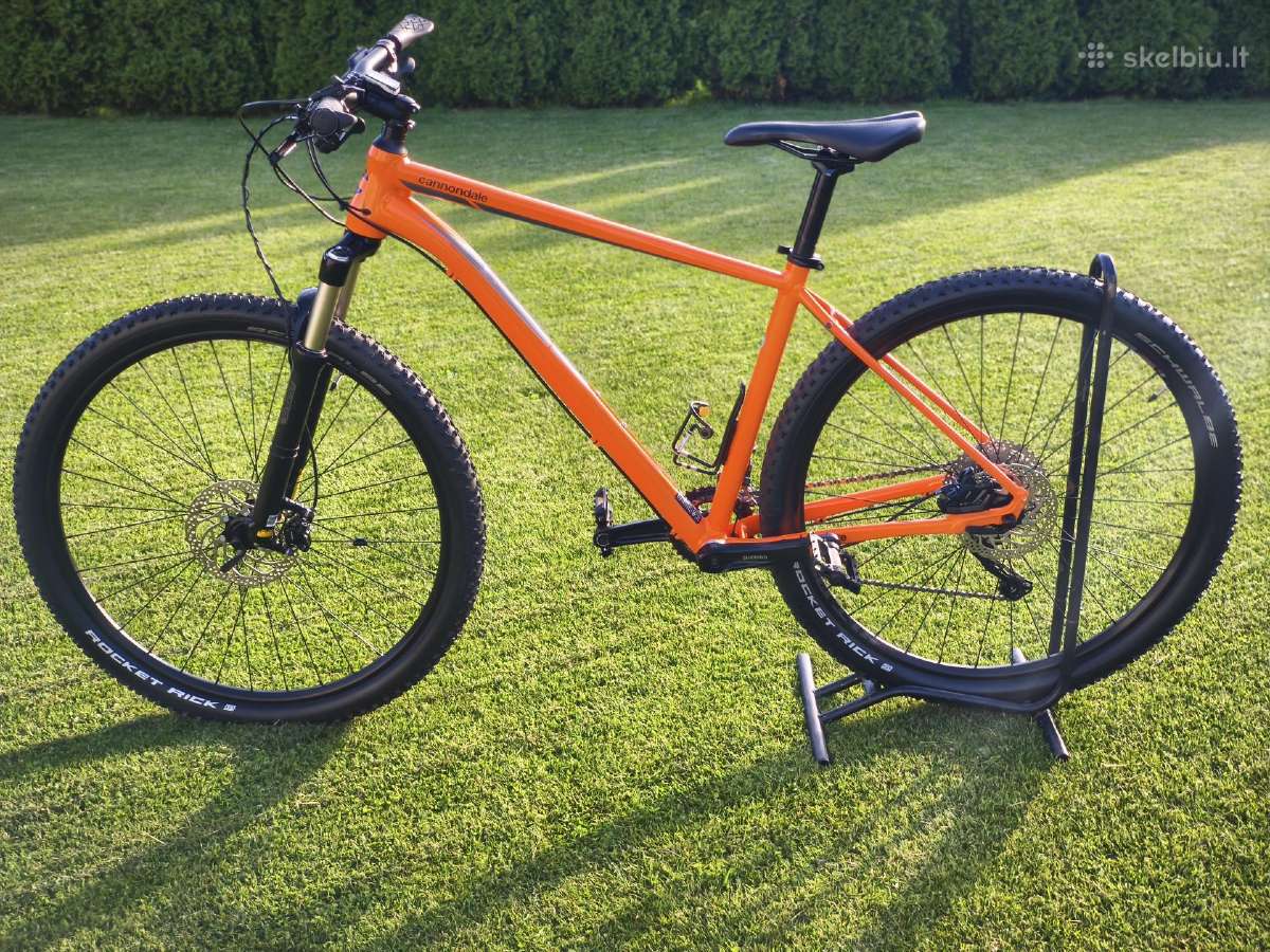 Cannondale (L) - nuotraukos Nr. 3