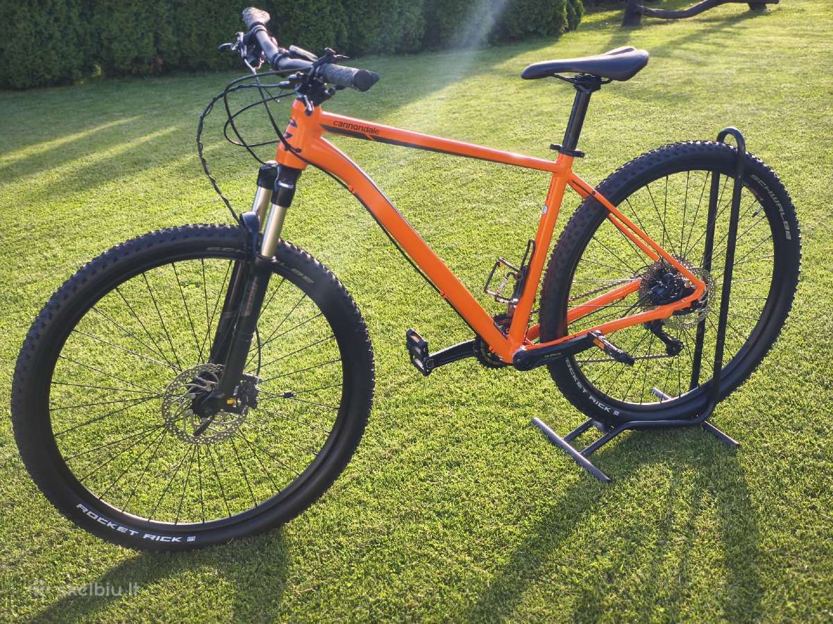 Cannondale (L) - nuotraukos Nr. 4