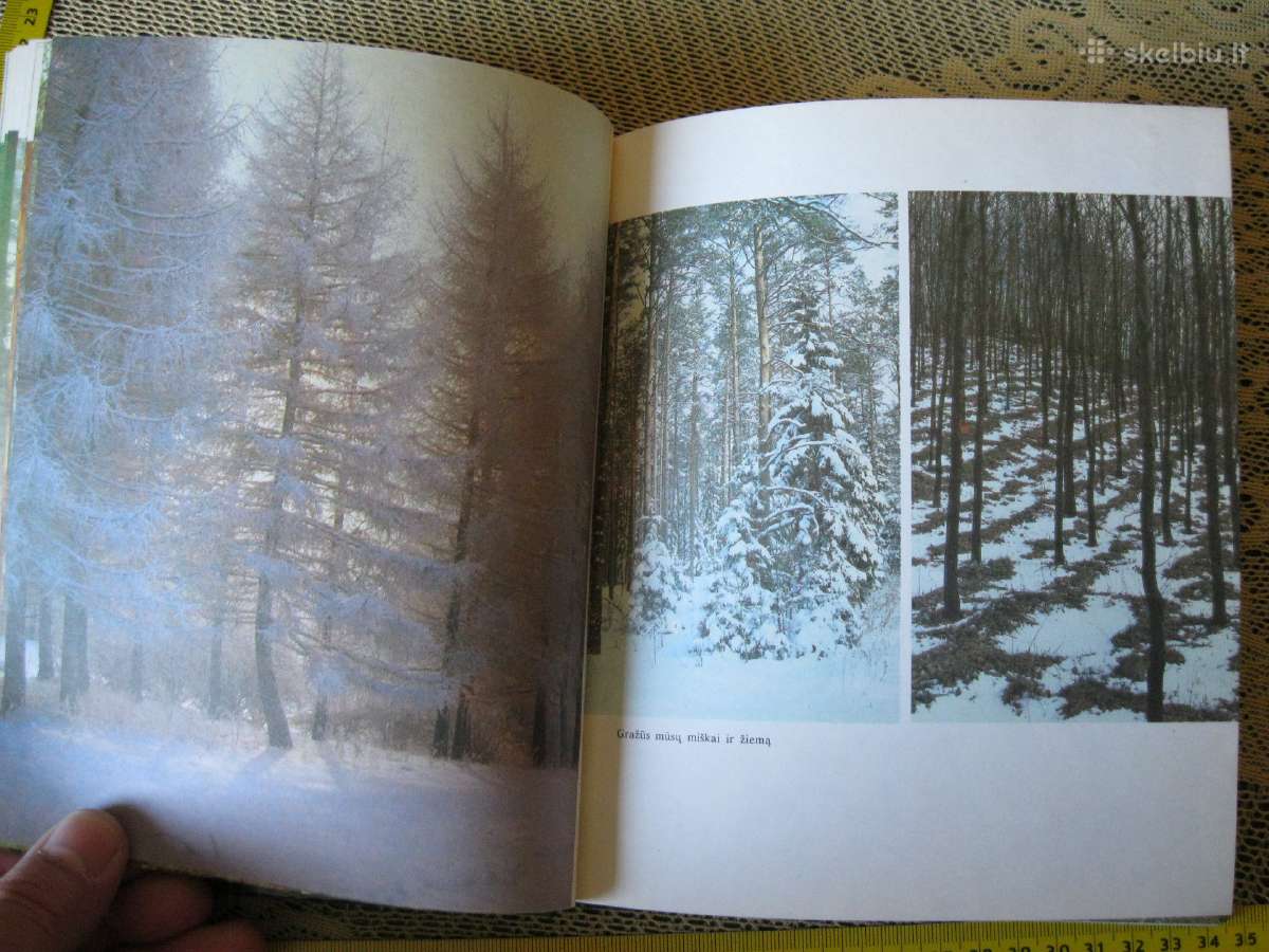 Knyga su daug foto . .zr. foto. - nuotraukos Nr. 6