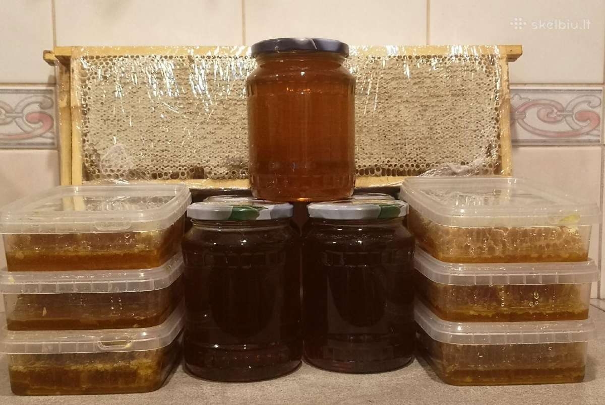 Medus, pikis (propolis), bičių duonelė, vaškas - nuotraukos Nr. 3