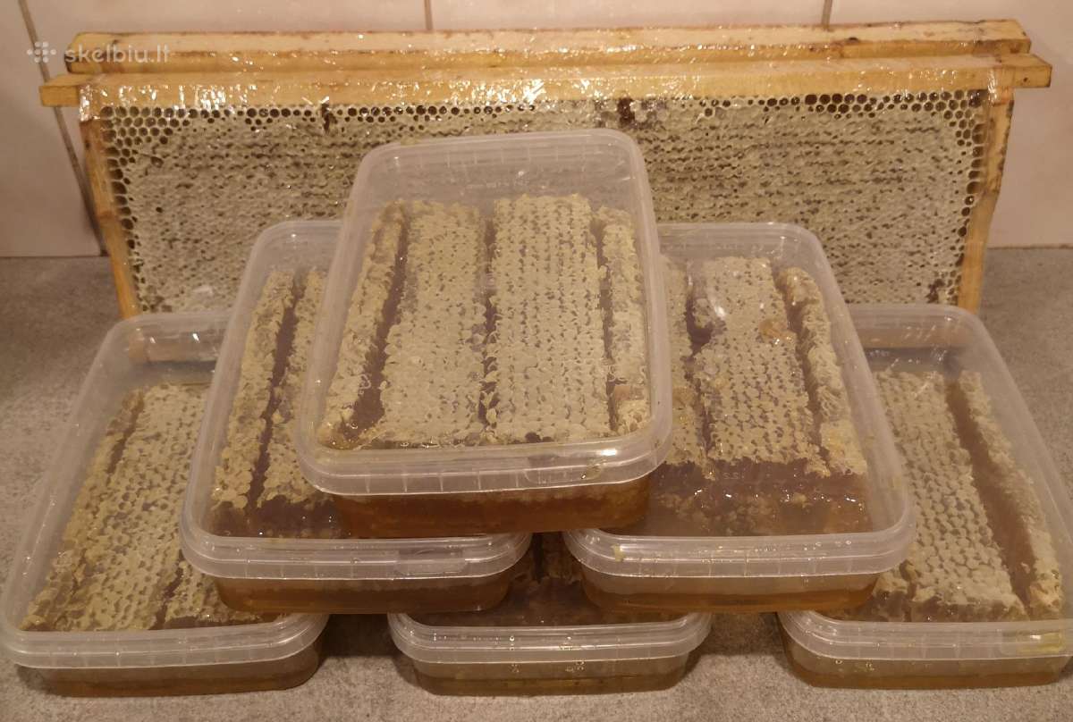 Medus, pikis (propolis), bičių duonelė, vaškas - nuotraukos Nr. 4