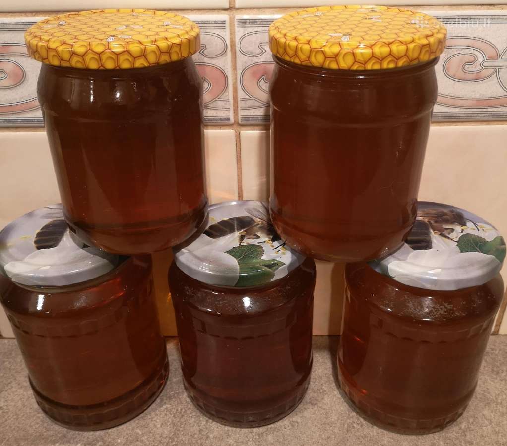 Medus, pikis (propolis), bičių duonelė, vaškas - nuotraukos Nr. 7