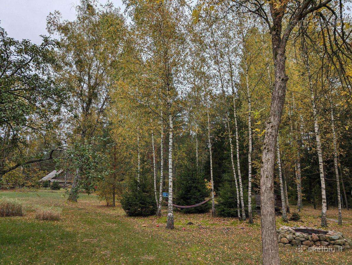 Perspektyvi sodyba Grūte, Druskininkai - nuotraukos Nr. 12