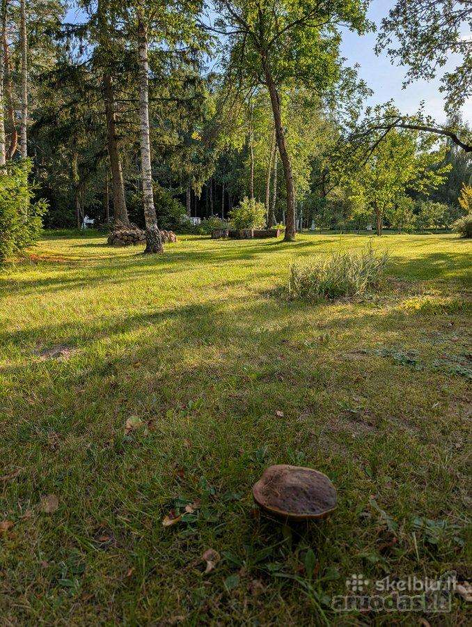Perspektyvi sodyba Grūte, Druskininkai - nuotraukos Nr. 18