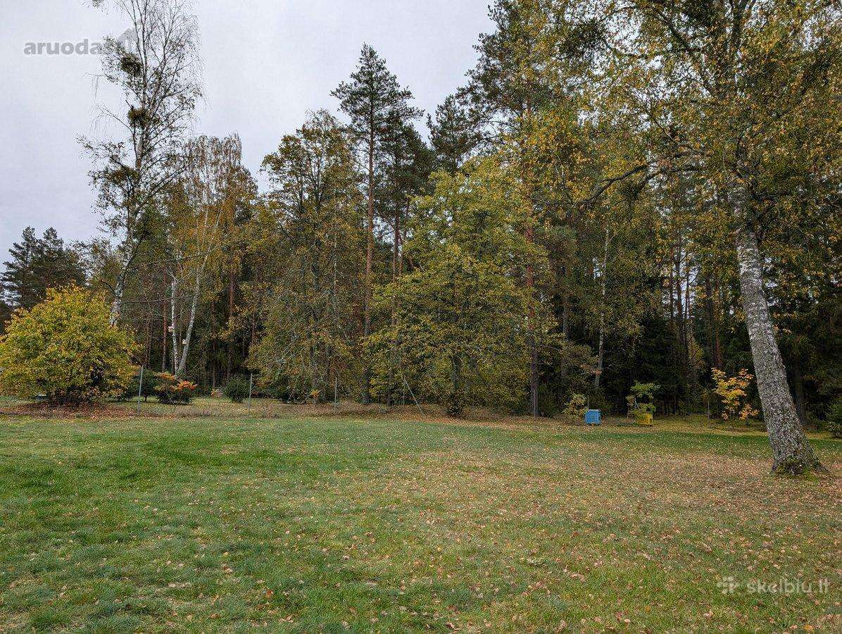 Perspektyvi sodyba Grūte, Druskininkai - nuotraukos Nr. 22