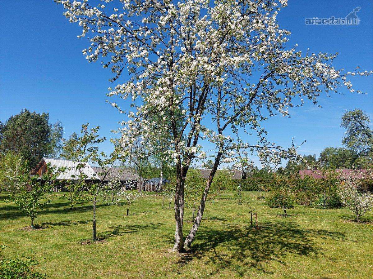 Perspektyvi sodyba Grūte, Druskininkai - nuotraukos Nr. 23