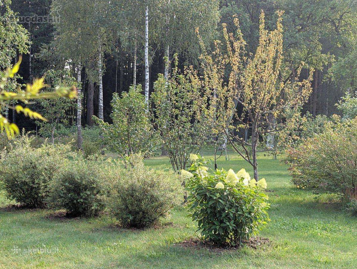 Perspektyvi sodyba Grūte, Druskininkai - nuotraukos Nr. 26