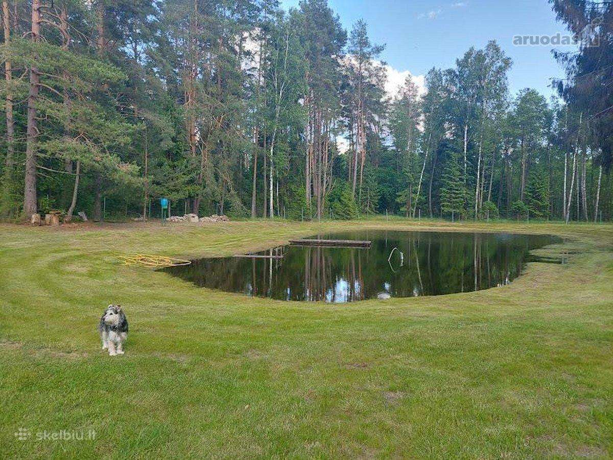 Perspektyvi sodyba Grūte, Druskininkai - nuotraukos Nr. 30