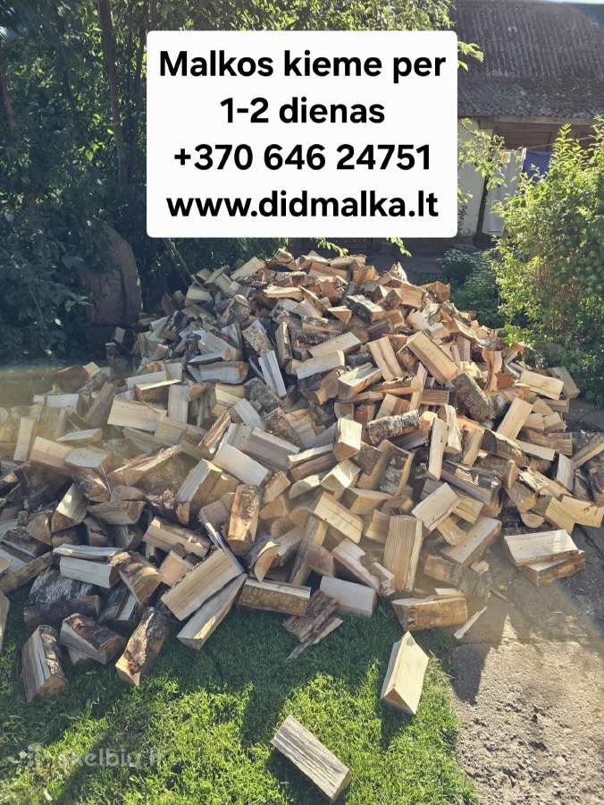 Malkos beržinės palaidos - nuotraukos Nr. 2