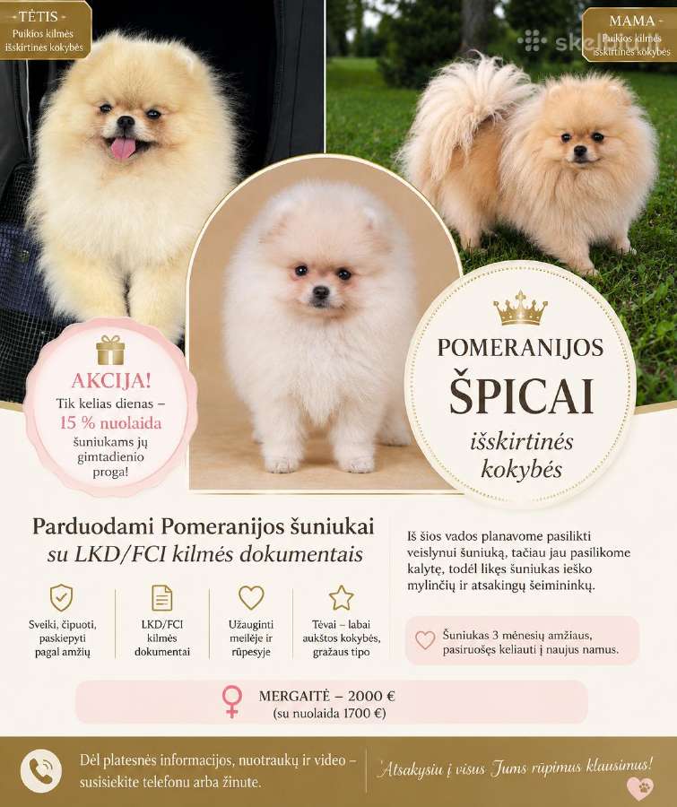 Berniukas(black &town)ir cream mergaite,tikras Pom