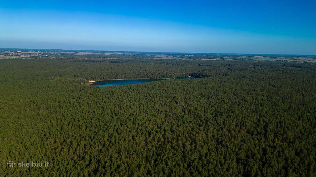 Namų valda prie Nemenčinės - nuotraukos Nr. 5