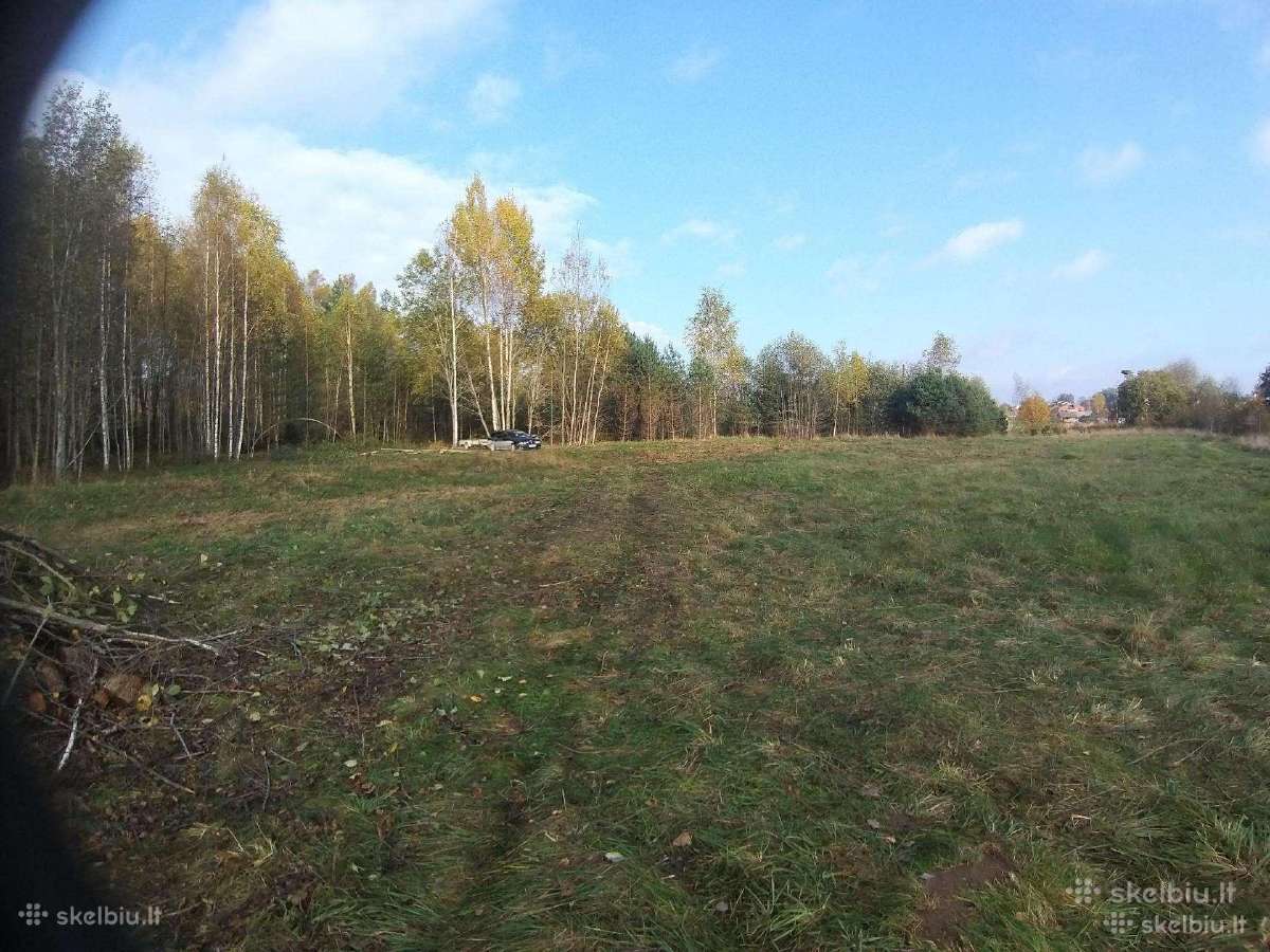 Du sklypai Sarių kaime - nuotraukos Nr. 5