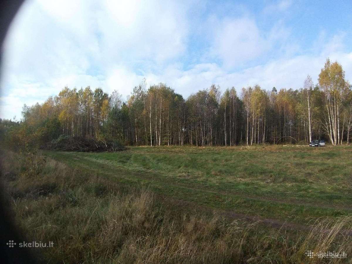 Du sklypai Sarių kaime - nuotraukos Nr. 6