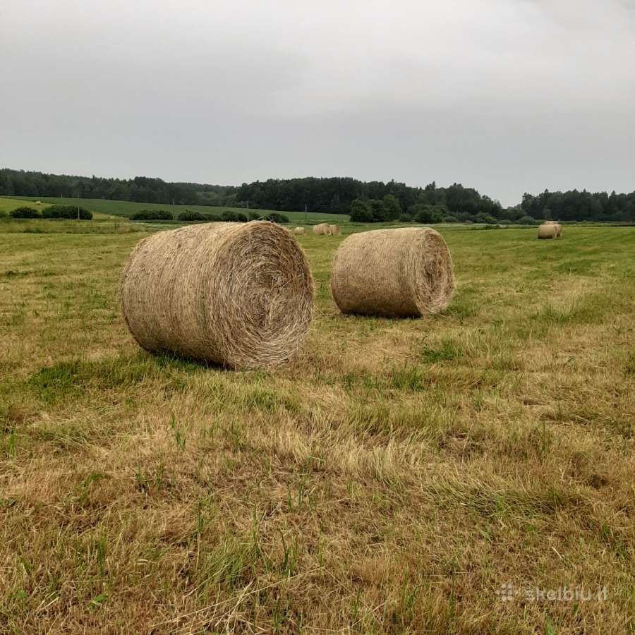 Parduodu šieną