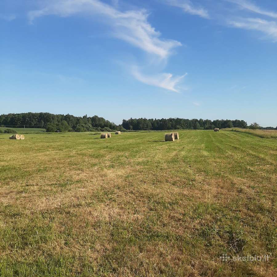 Parduodu šieną - nuotraukos Nr. 2