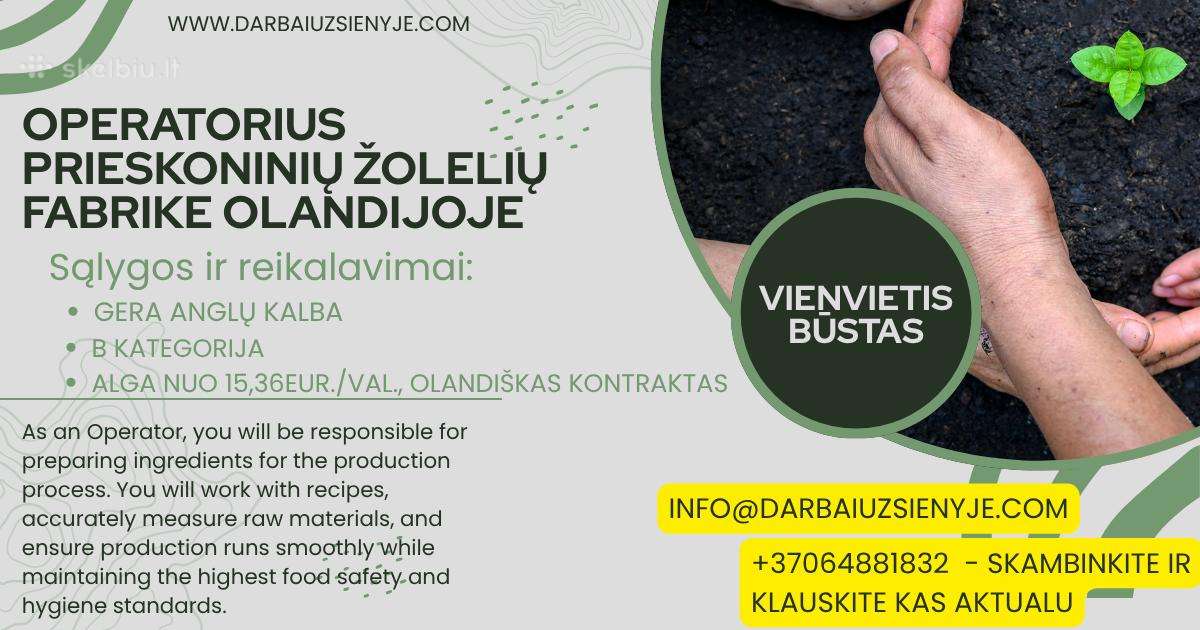 Darbai Olandijoje Logistikos Sandeliuose - nuotraukos Nr. 3