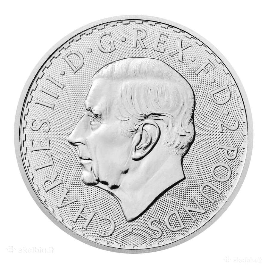 Perku investicinį sidabrą - nuotraukos Nr. 6