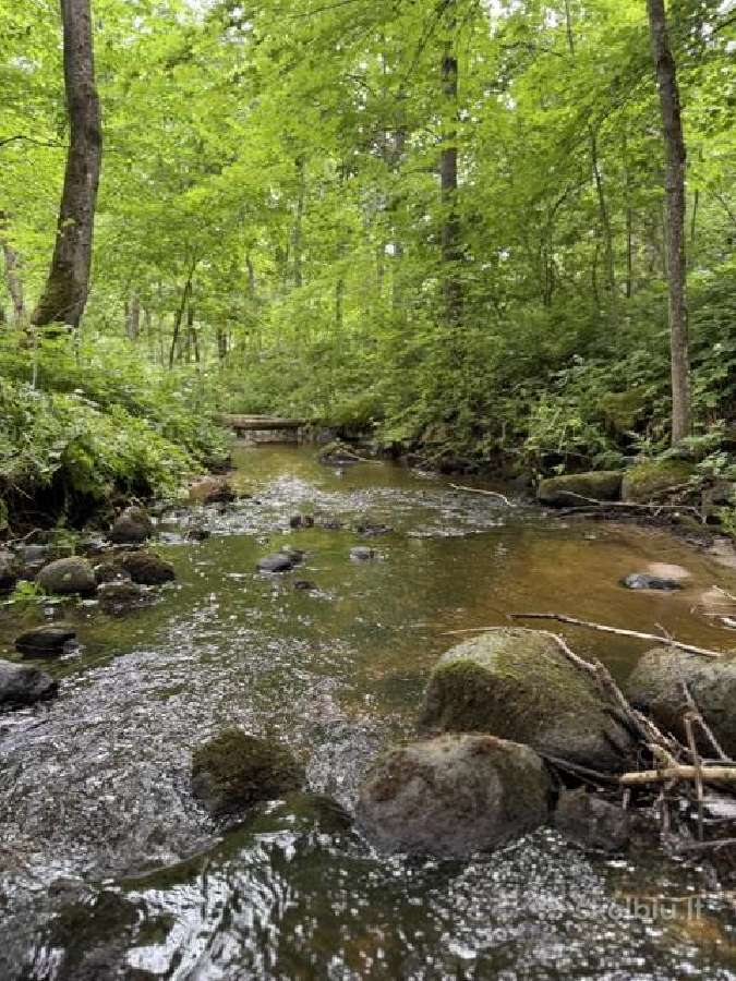 75 arų sklypas besiribojantis su upeliu