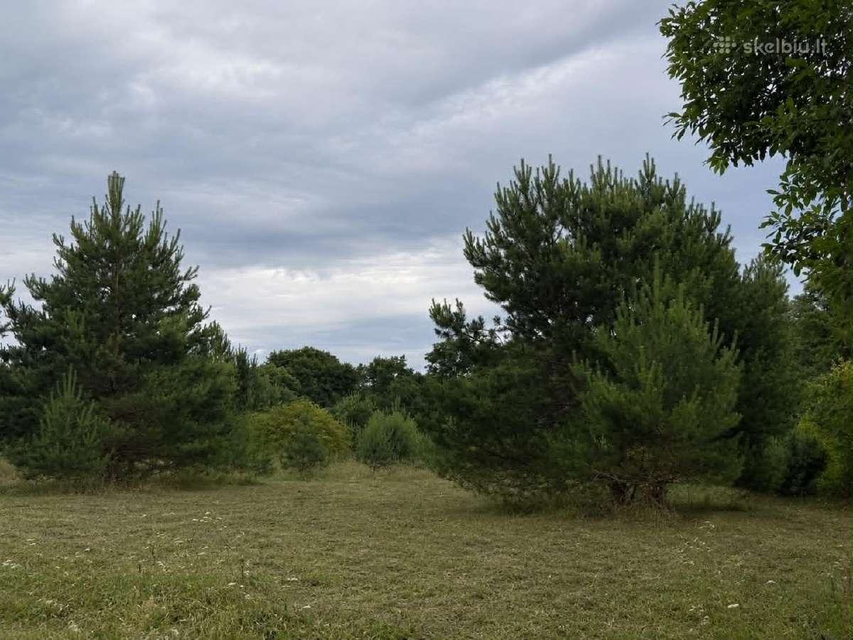75 arų sklypas besiribojantis su upeliu - nuotraukos Nr. 2
