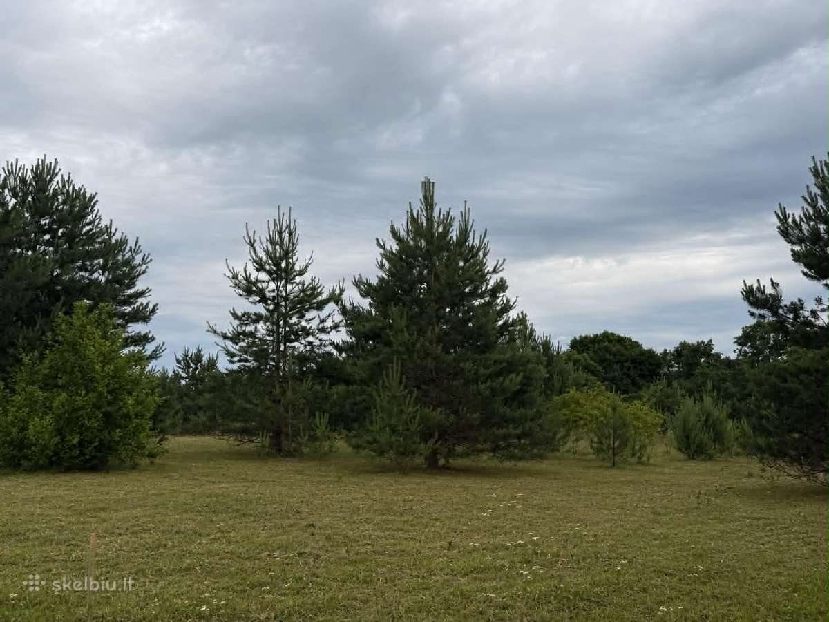 75 arų sklypas besiribojantis su upeliu - nuotraukos Nr. 4