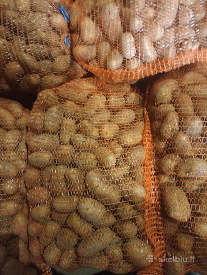 Bulves,burokeliai,cesnaku ziedkociai