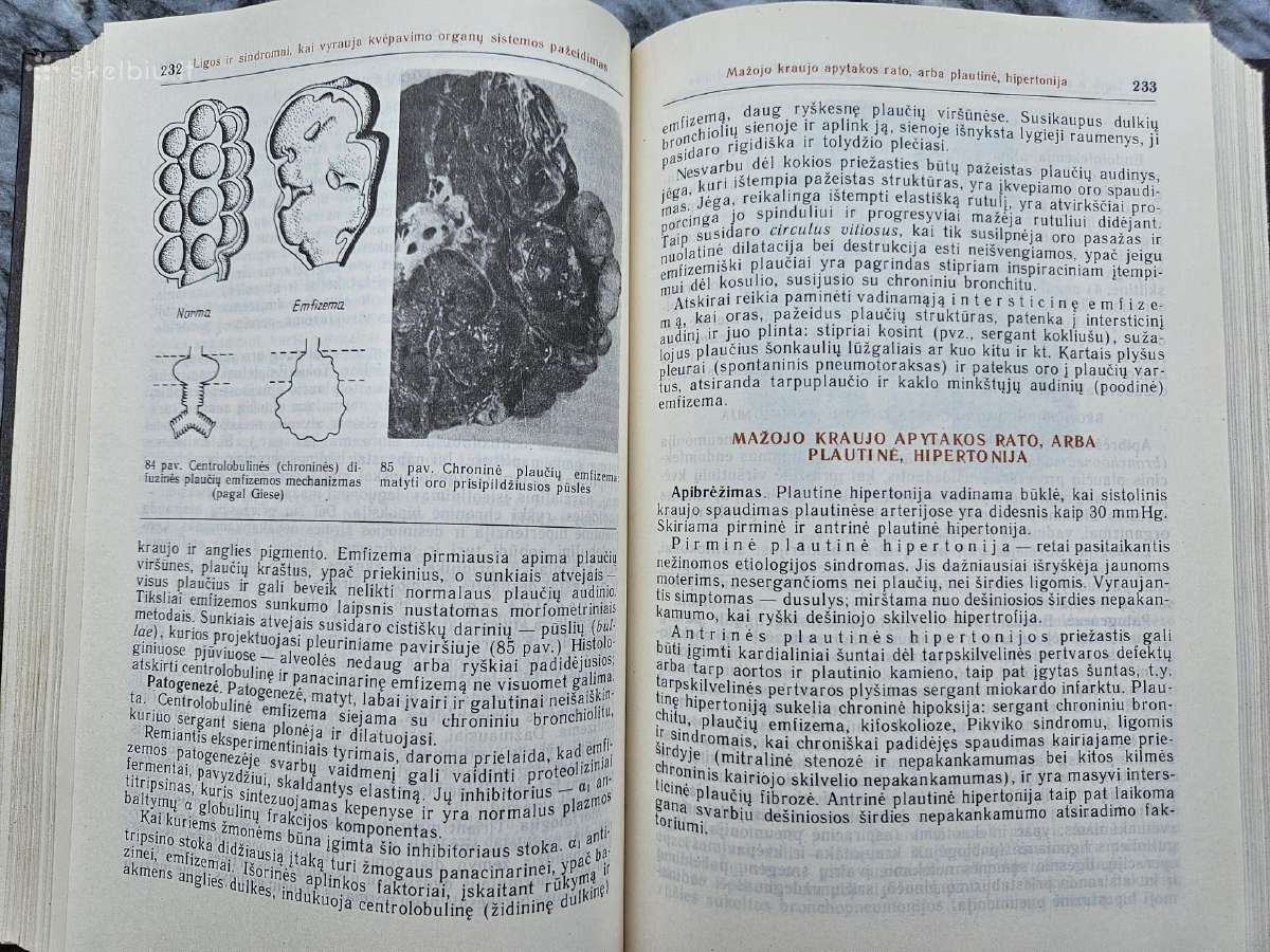 „Patologinė anatomija“, vadovėlis - nuotraukos Nr. 3