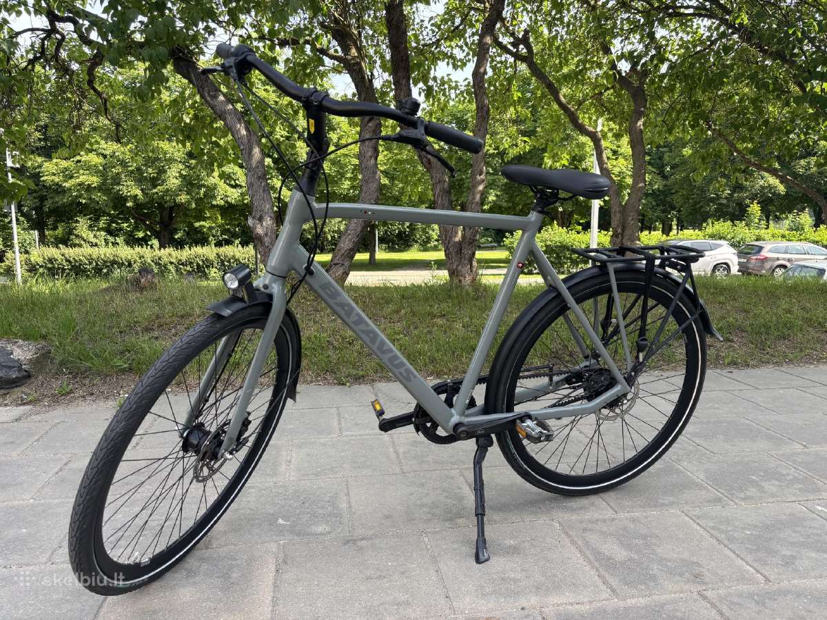Batavus Dinsdag Exclusive (XL)