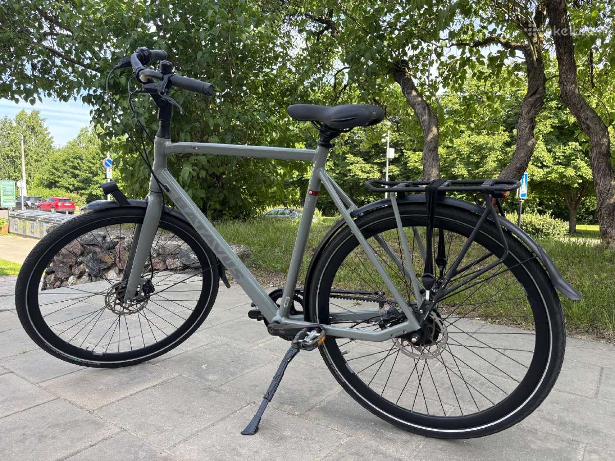 Batavus Dinsdag Exclusive (XL) - nuotraukos Nr. 2