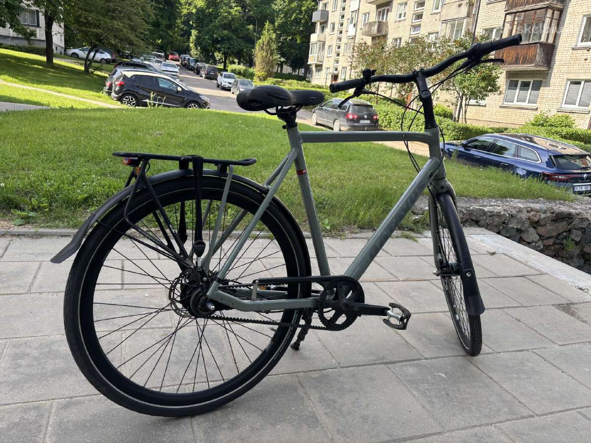 Batavus Dinsdag Exclusive (XL) - nuotraukos Nr. 3